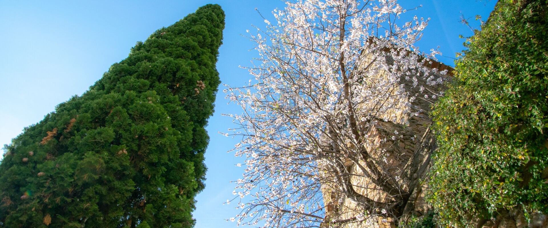 EMPORDÃ€ ESSENCE